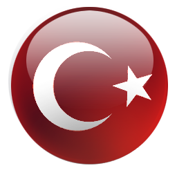 Türkçe